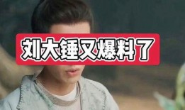 刘大锤爆料薛之谦视频在线观看,薛之谦视频在线观看，独家爆料引热议