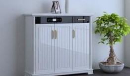 除臭鞋柜最新爆料视频,视频爆料带你领略科技魅力